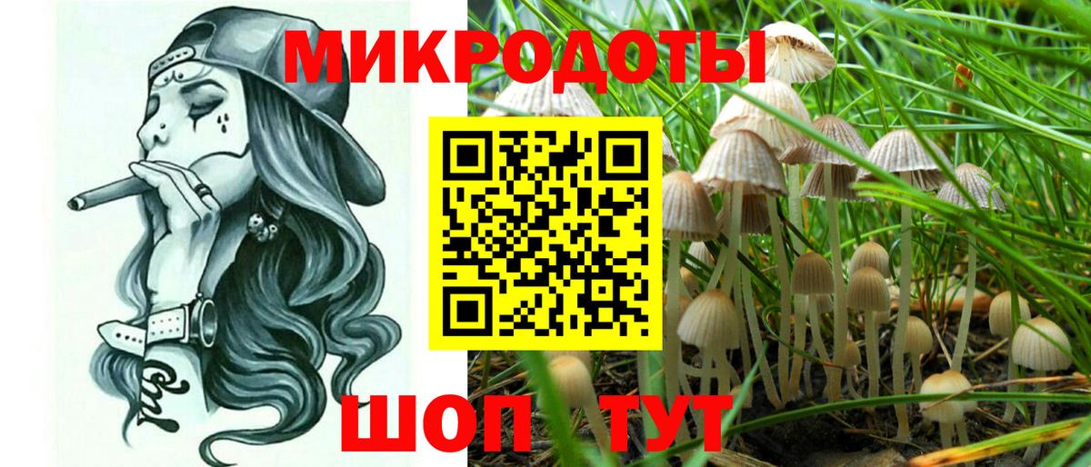 Миллерово  Псилоцибиновые грибы Cubensis  Вход с VPN  Псилоцибиновые грибы Cubensis 